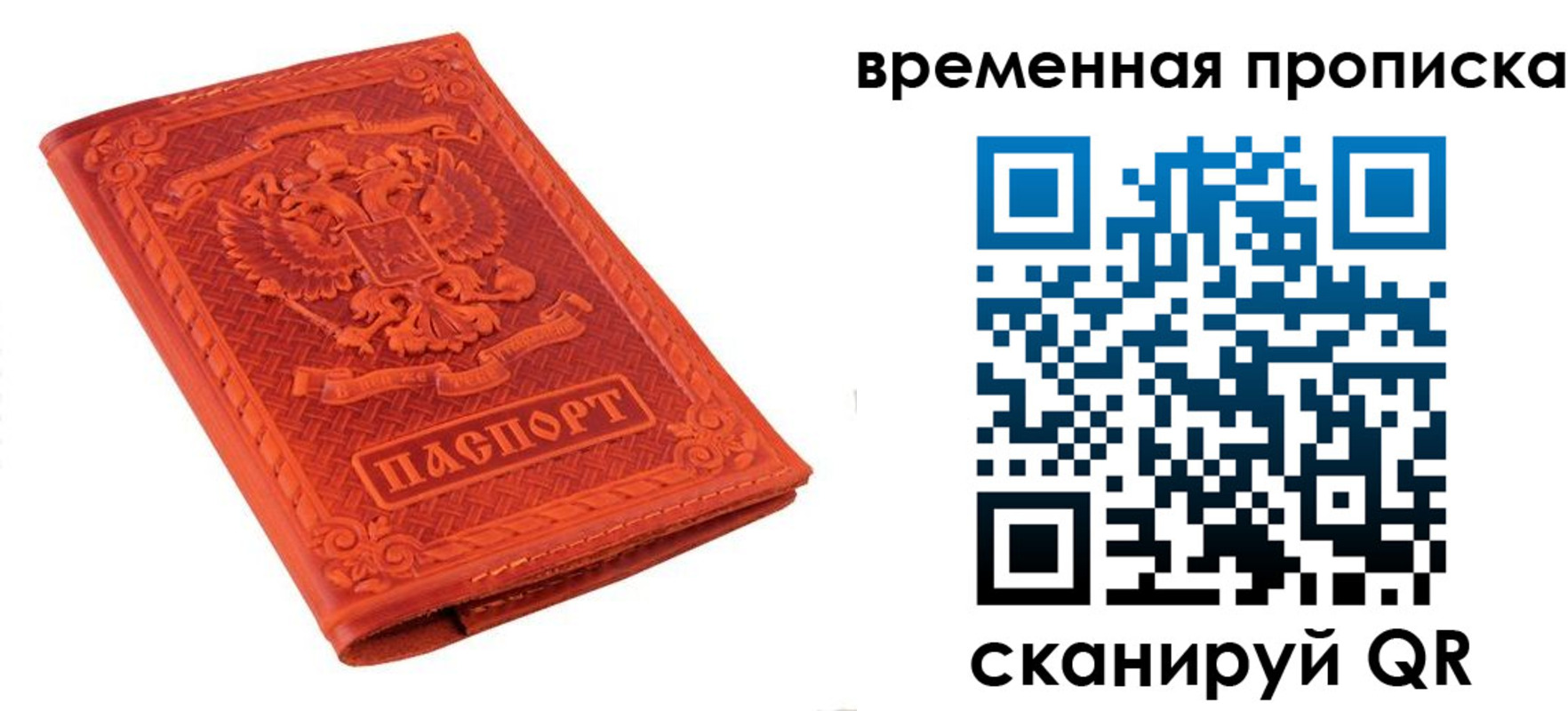 где прописаться в Купино