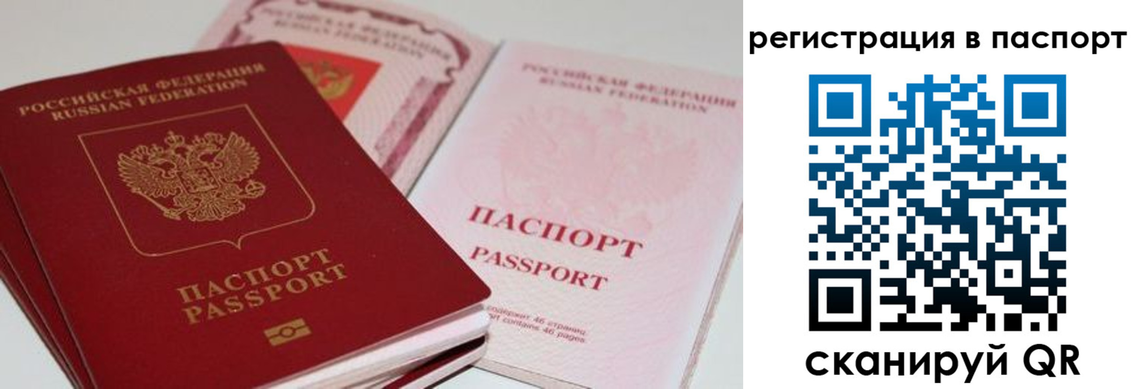 найти адрес прописки в Купино