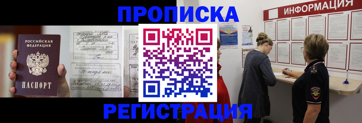 прописка поиск в Купино